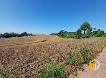 Rural , São Pedro · Sítio com 6,5 Alqueires – Serra do Itaqueri | São Pedro – SP