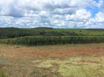 Rural , Brasília · Área Escriturada e Registrada no PAD-DF, São 22 Hectares sendo usada para plantação