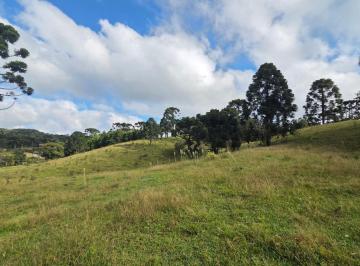 Foto 01 · Terreno, Laranjeiras, Campo Alegre, SC
