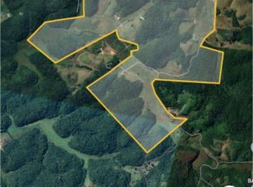 Rural de 3 quartos, Registro · FAZENDA BELA VISTA EM REGISTRO SP COD: 6014 F:(11) 97302-9229 CESAR