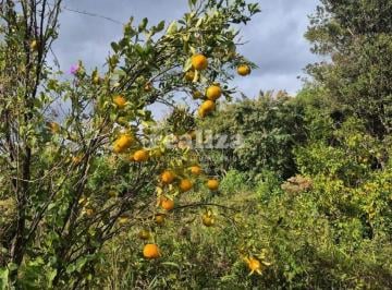 Rural · SITIO À VENDA EM GRAMADO