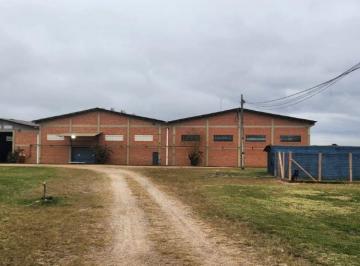 Comercial , São José dos Pinhais · Galpão Comercial – 4.200m² | São José dos Pinhais