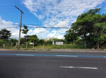 Terreno · 3778m² · Terreno comercial para locação na Av. Cavalhada com 3.778m²