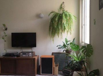 Apartamento · 50m² · 2 Quartos · Apartamento em Floresta