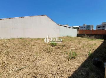 Terreno · 360m² · Terreno misto disponível para venda no bairro Santa Mônica em Uberlândia-MG