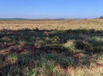 Imagem 1 · Fazenda