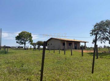 Imagem 1 · Fazenda