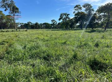 Imagem 1 · Fazenda