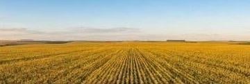 Imagem 1 · Fazenda