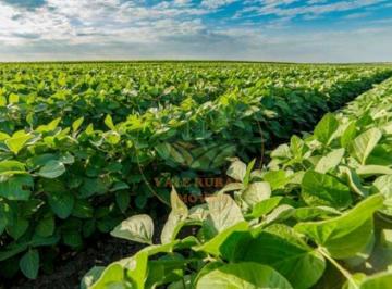 Imagem 1 · Fazenda