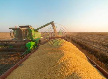 Imagem 1 · Fazenda
