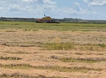 Imagem 1 · Fazenda