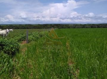 Imagem 1 · Fazenda