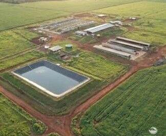 Imagem 1 · Fazenda