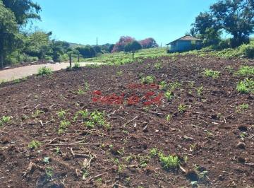 Imagem 1 · Fazenda