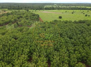 Imagem 1 · Fazenda