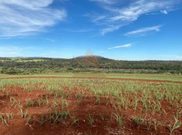 Imagem 1 · Fazenda