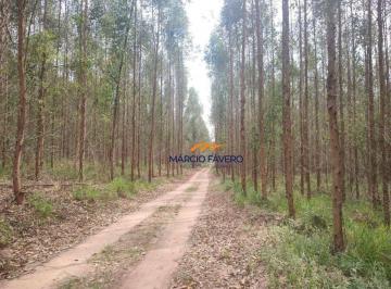 Imagem 1 · Fazenda