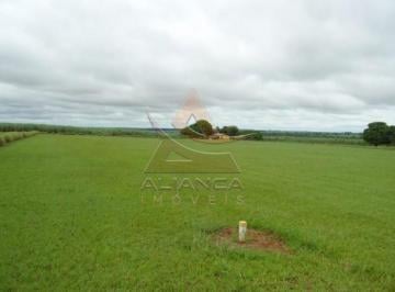 Imagem 1 · Fazenda