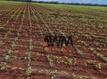 Imagem 1 · Fazenda
