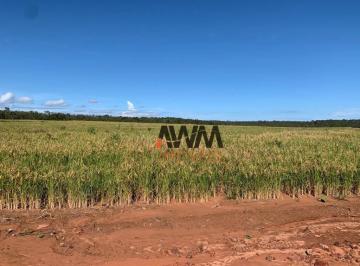 Imagem 1 · Fazenda
