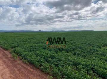 Imagem 1 · Fazenda
