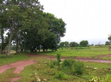 Imagem 1 · Fazenda