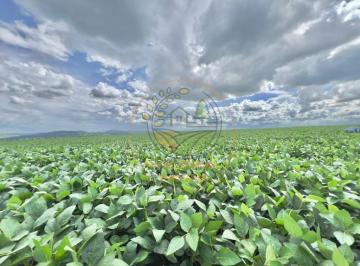 Imagem 1 · Fazenda