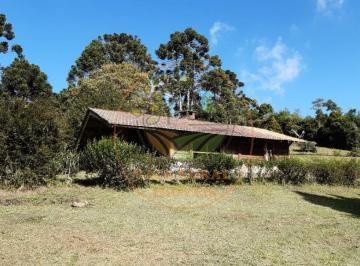 Imagem 1 · Haras e Área Rural Padrão
