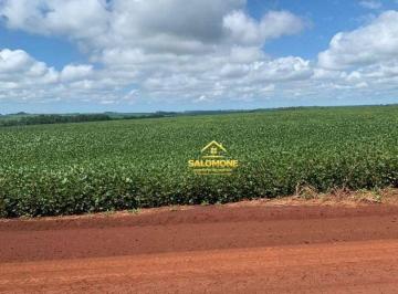 Imagem 1 · Fazenda