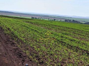 Imagem 1 · Fazenda