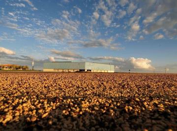 Imagem 1 · Fazenda
