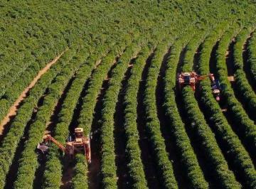 Imagem 1 · Fazenda