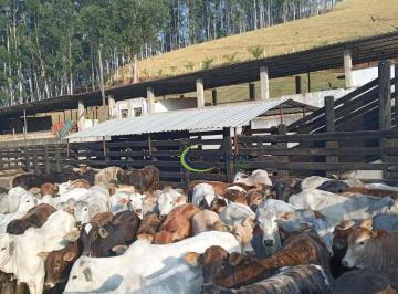 Imagem 1 · Fazenda