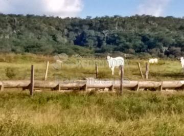 Imagem 1 · Fazenda