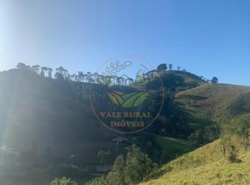 Imagem 1 · Sítio para venda em Centro, Sapucaí-Mirim