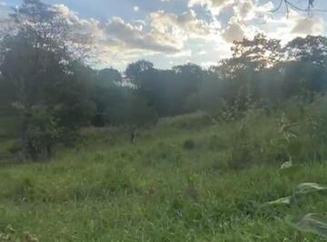 Imagem 1 · Fazenda