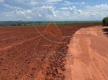 Imagem 1 · Fazenda