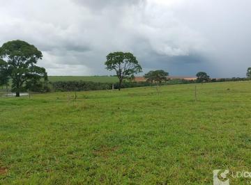 Imagem 1 · Fazenda para venda em Uberlândia