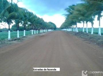Imagem 1 · Fazenda