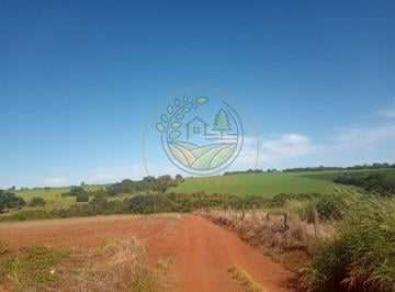 Imagem 1 · Fazenda