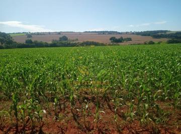 Imagem 1 · Fazenda
