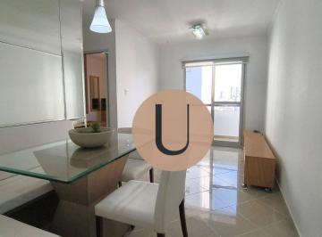 977fa3ea0b748e1616588d62bcbebb45aaa90ff2 · Apartamento com 2 dormitórios à venda, 57 m² - Anália Franco