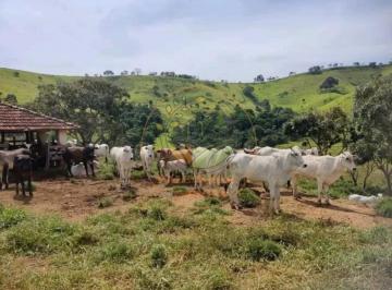 Imagem 1 · Fazenda