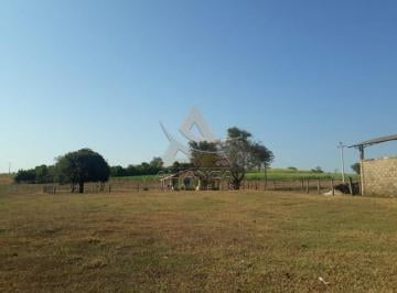 Imagem 1 · Fazenda