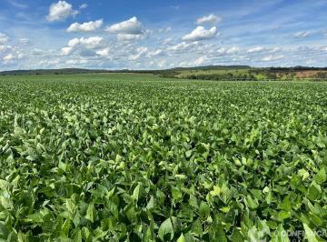 Imagem 1 · Fazenda