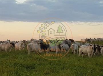 Imagem 1 · Fazenda