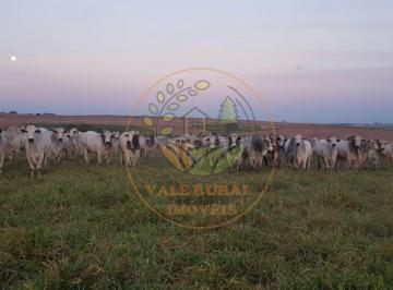 Imagem 1 · Fazenda