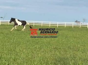 Imagem 1 · Fazenda