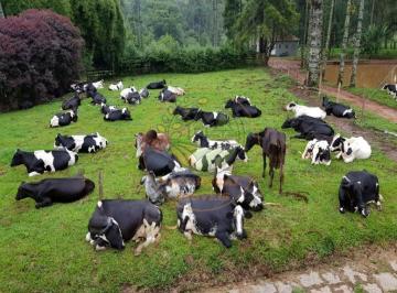 Imagem 1 · Fazenda